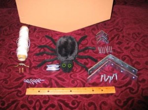spider and house spider and house
