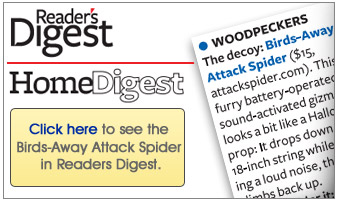 Readers Digest talks about Birds-Away Attack Spider Readers Digest talks about Birds-Away Attack Spider