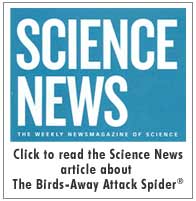 Science News article on the Birds-Away Attack Spider Science News article on the Birds-Away Attack Spider